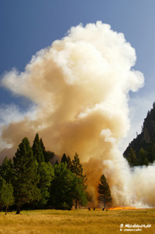 kontrolliertes Feuer