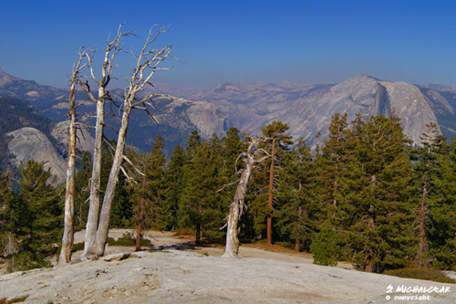 Half Dome vom Sentinel Dome aus